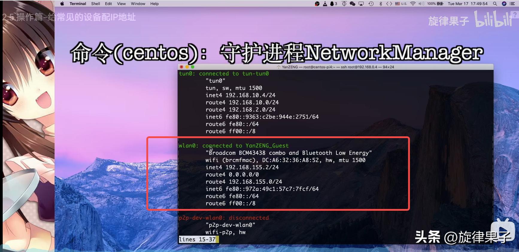 ip地址分配操作,mac地址绑定解决ip冲突