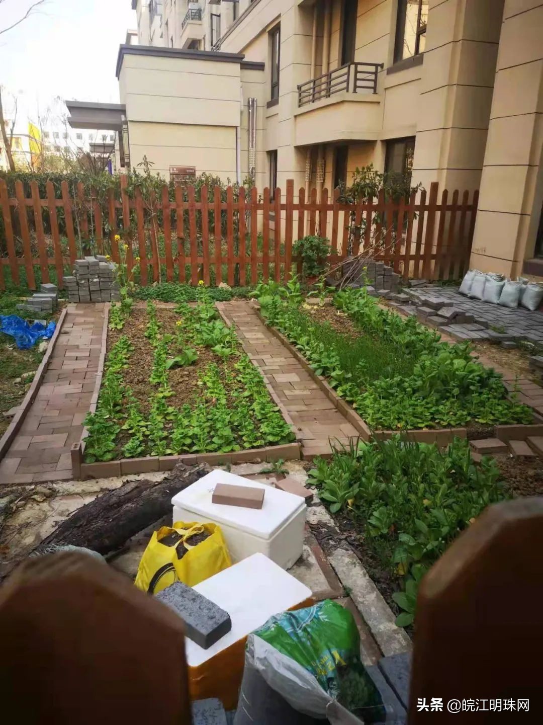 芜湖整治物业的原因是什么,芜湖这42家小区物业被约谈