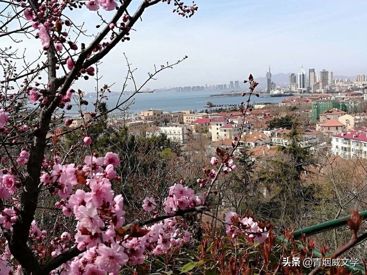 春景七律十首诗,春景诗五首