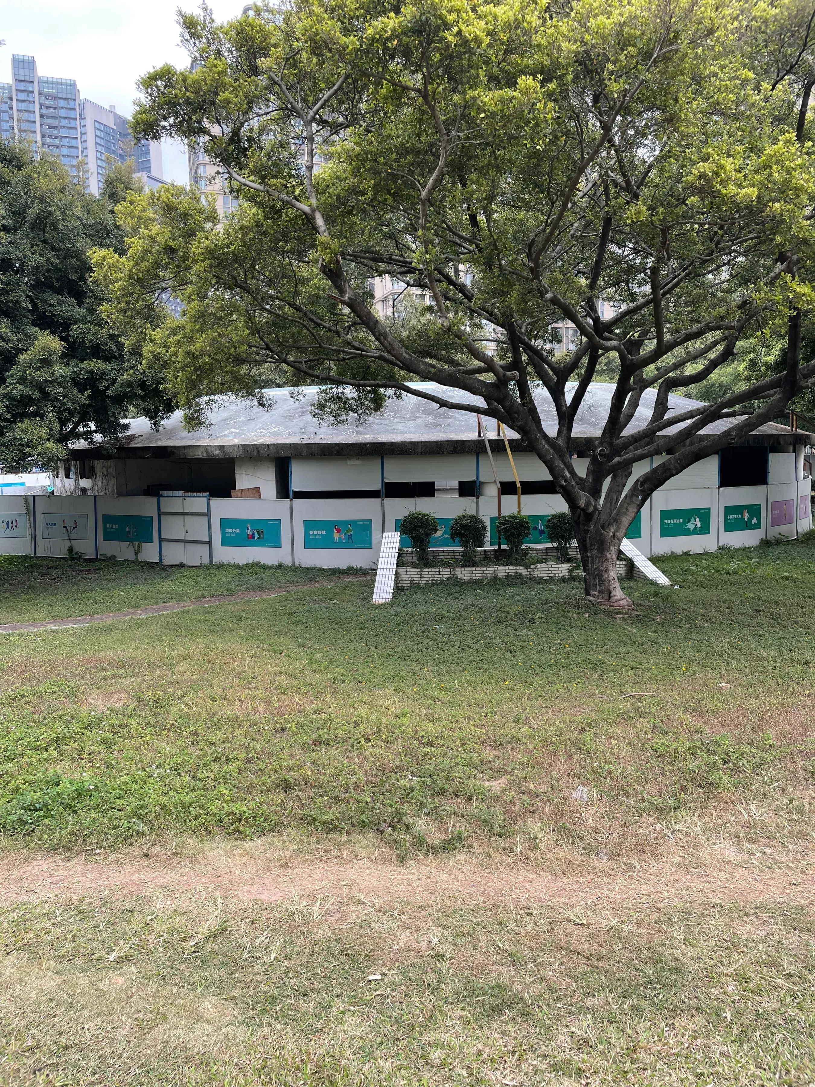 深圳市宝安灵芝公园正在建什么,宝安灵芝公园