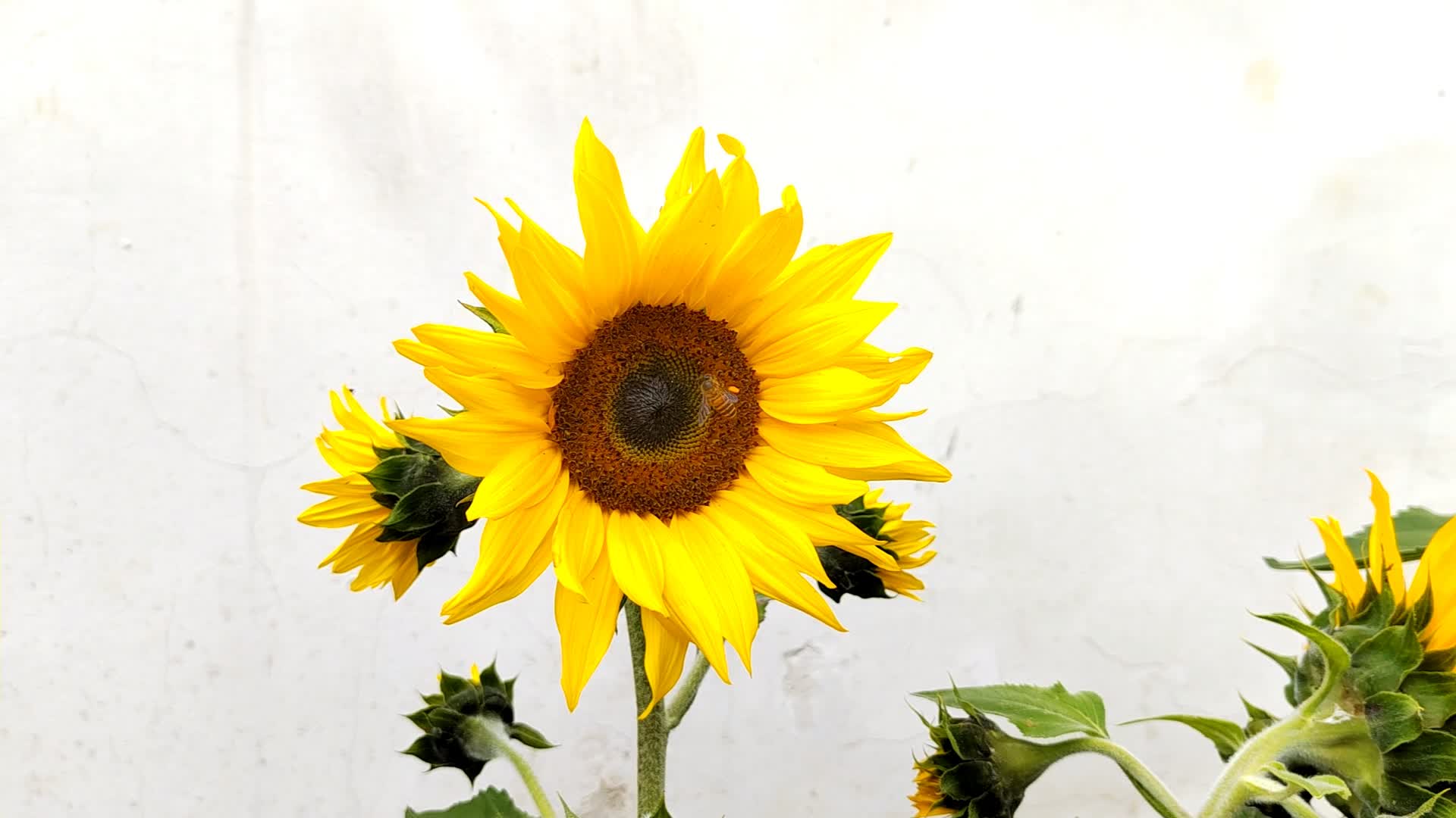 自驾云南15天旅游需要花费多少钱,自驾游山东到云南花费大概多少