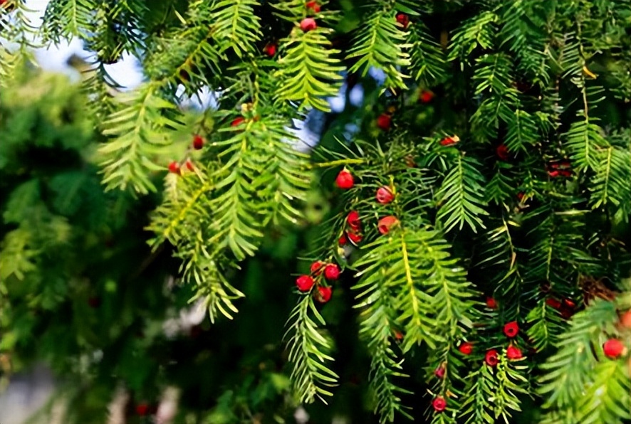 暴利工业废料变废为宝,九零后小伙收废品变废为宝