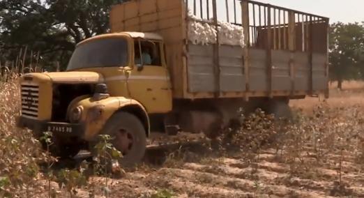 非洲最快活的职业，货车司机一周跑一趟，买完别墅还能养3个老婆