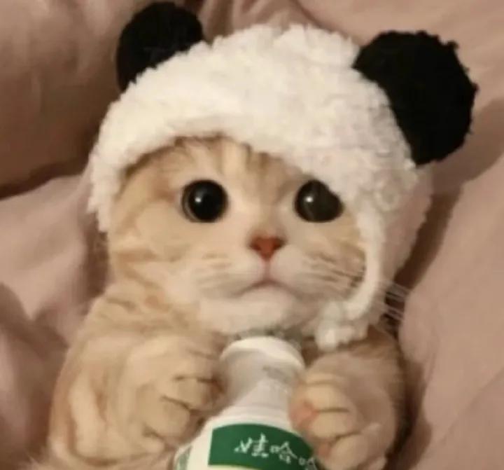 形容时间很久的句子,喜欢一个东西很久的句子