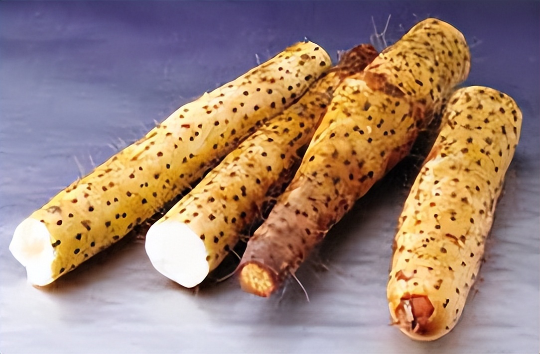 补气补肾补脾的食疗,脾胃不好吃什么补肾又补脾