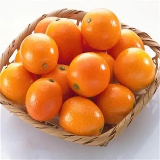 怀孕期间这6种水果不要吃哦,怀孕必吃的十二种水果