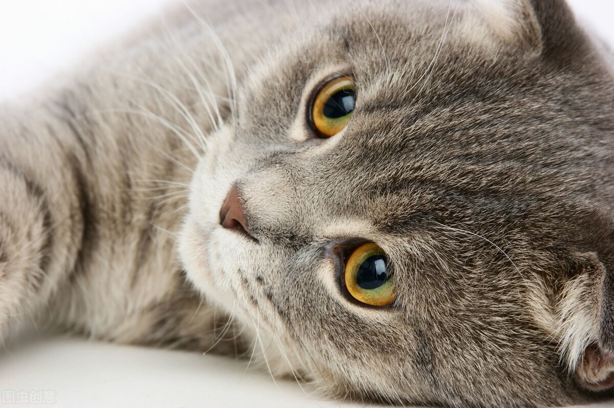 投资少又能创业的小生意回报,投资少风险高的创业项目有哪些