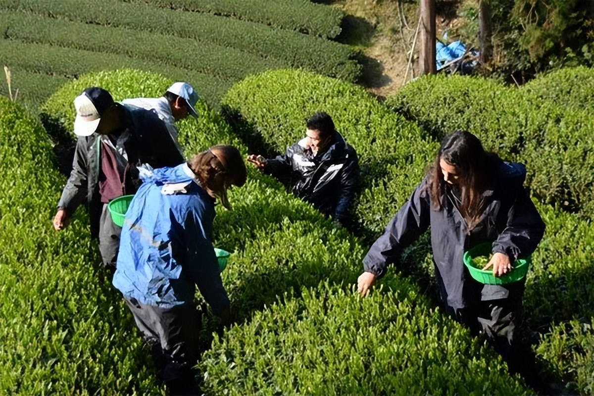 日本特色小镇,日本小镇特色产品