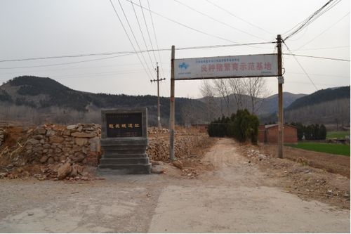 河南省卫辉市,河南卫辉是哪