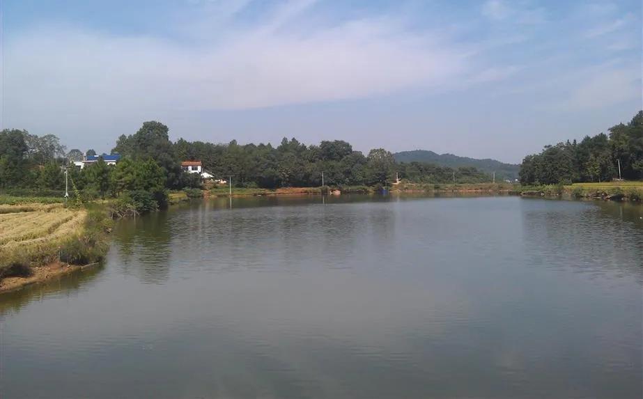 湖南宁乡道林镇,长沙市道林镇