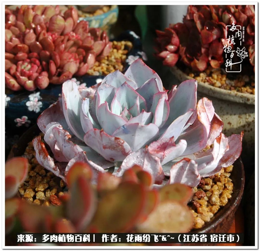 回味童年无忧无虑的快乐时光,童年最快乐的时光