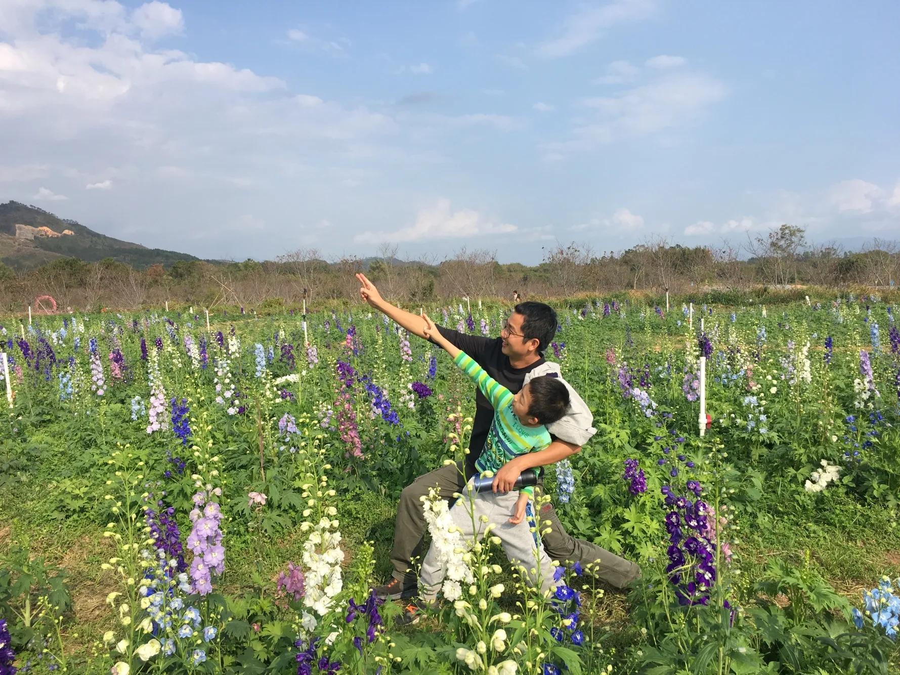 全国青少年阅读风采展示活动参赛,青少年阅读风采大赛全国