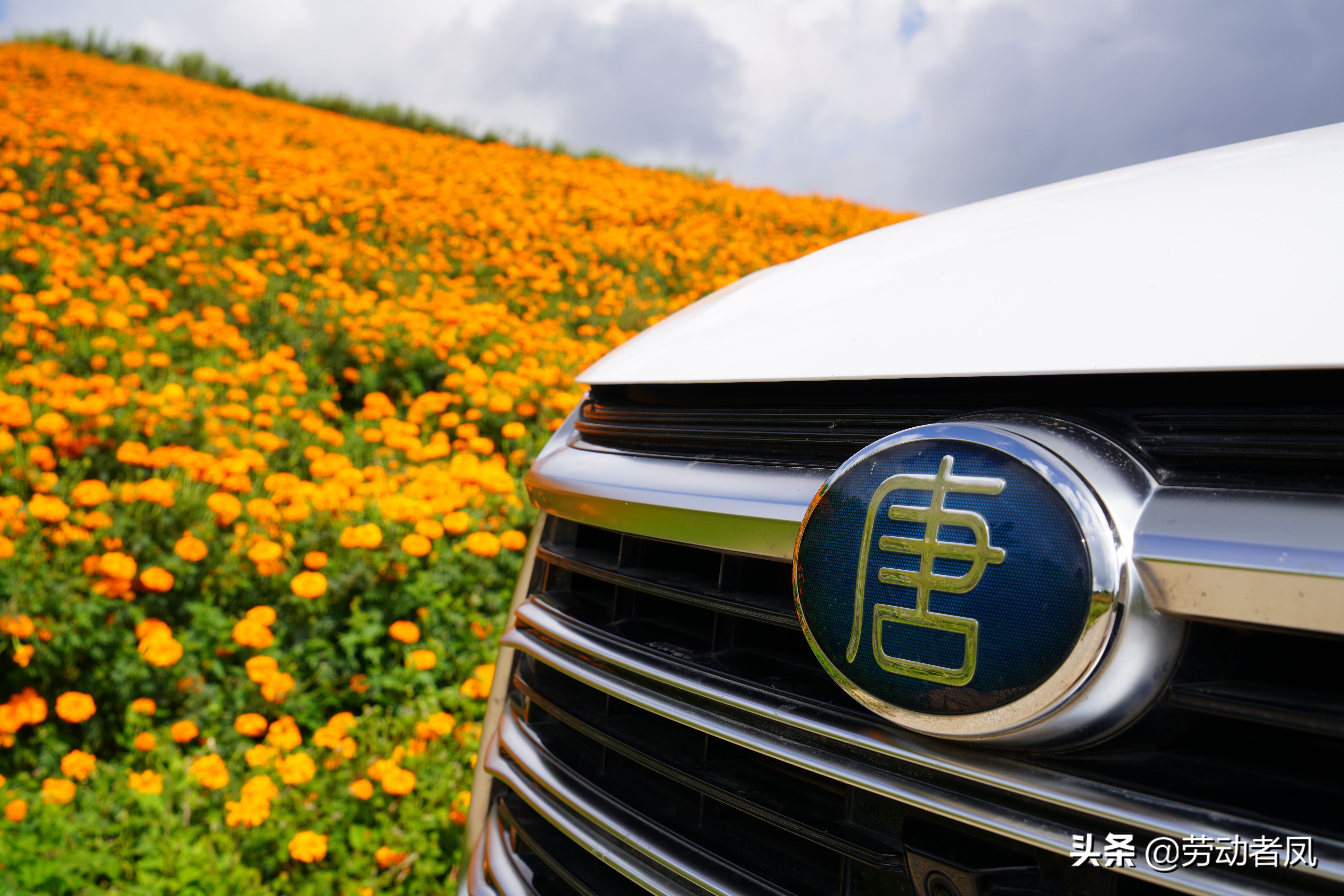 唐dmp前挡风玻璃自爆,唐dmi前挡风玻璃破了走保险吗