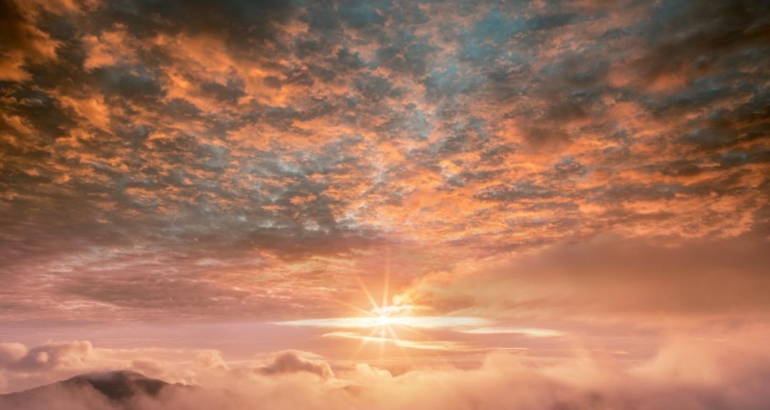 美食之都潮汕,广东茂名的特色美食水果