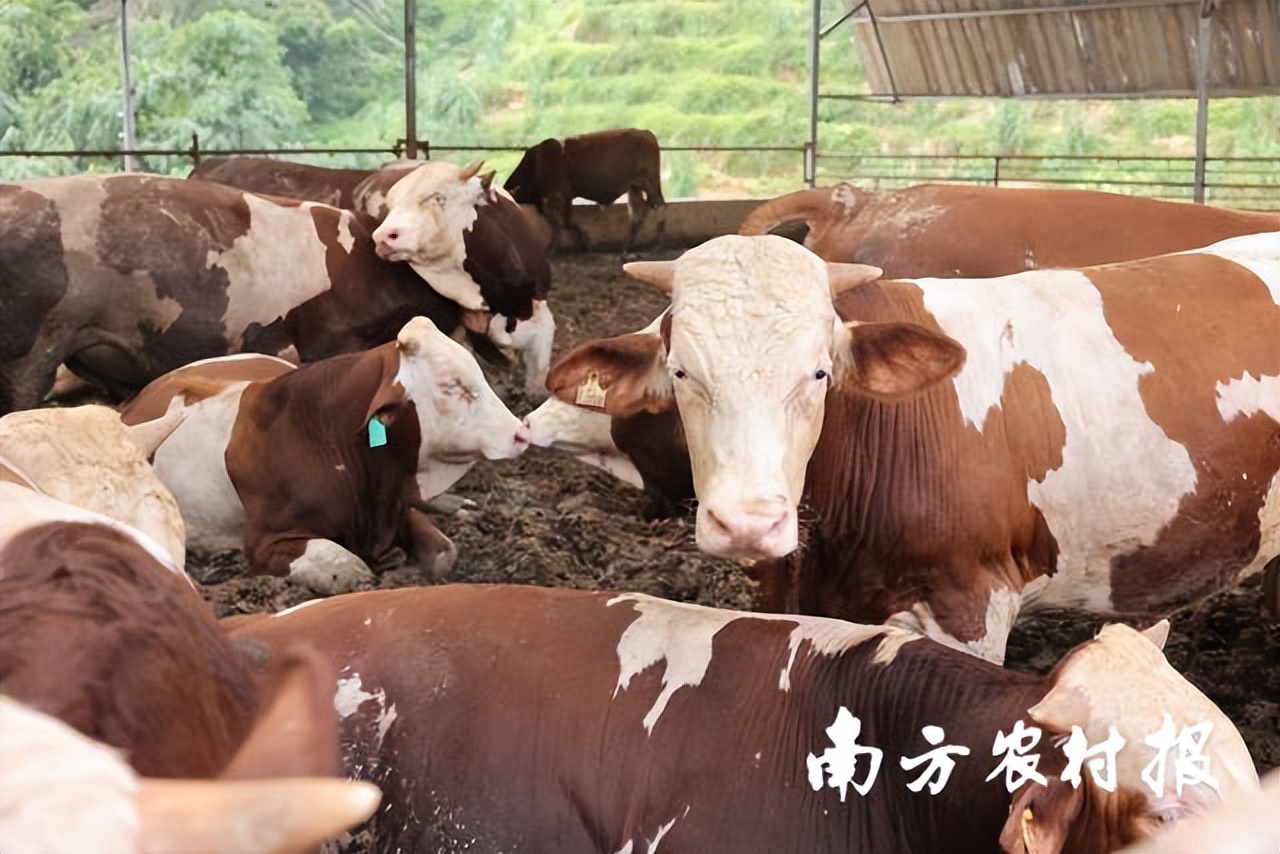 此心安处是吾乡全诗,吾心归处是吾乡议论文