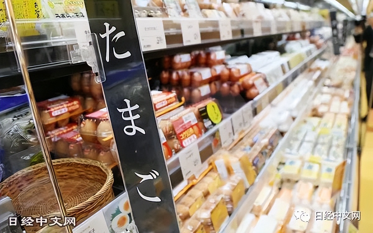 鸡蛋荒席卷全球,欧美鸡蛋荒最新消息