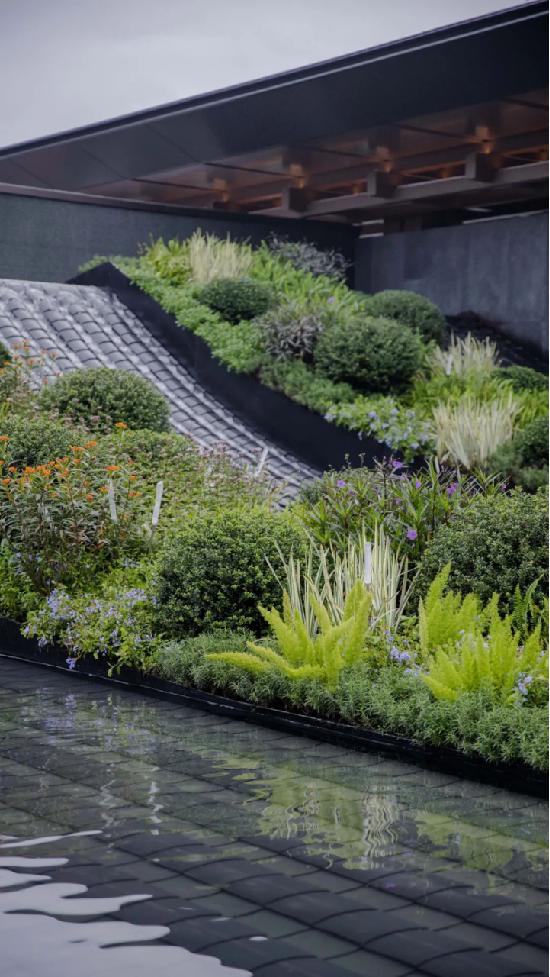 那些被我们忽略的风景,球球景观