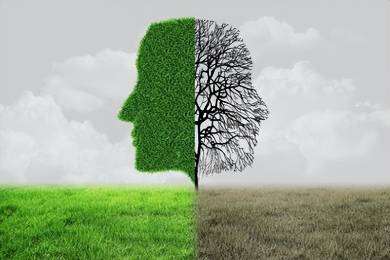 家有精分的孩子父母如何缓解情绪,精分患者有自愈可能吗