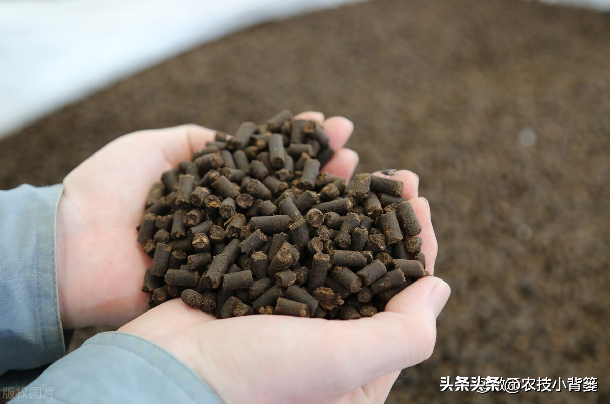 菌剂和菌肥哪一种更好,菌剂和菌肥有什么区别