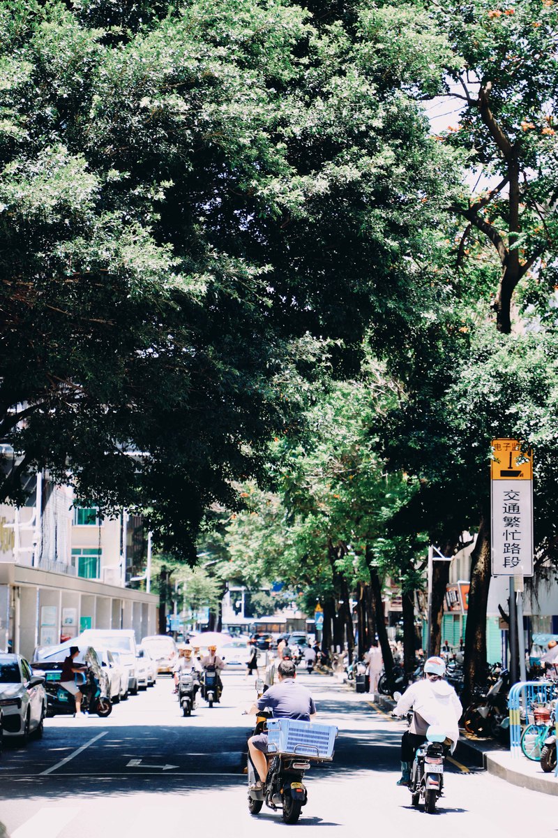 深圳市蛇口攻略,深圳海岛蛇口