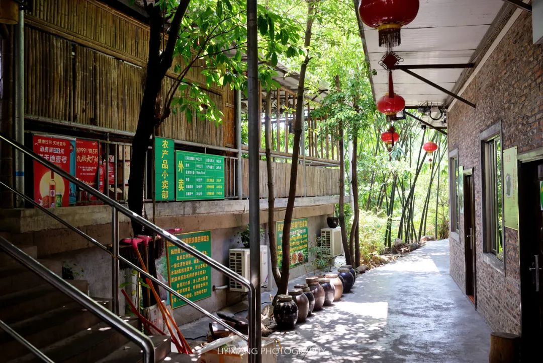 清远鸡什么地方最好,清远鸡冷知识