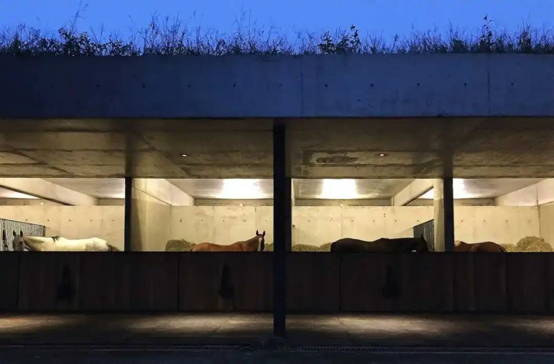 阿根廷EstudioRamos建筑事务所-真诚的现代主义！|EstudioRamos