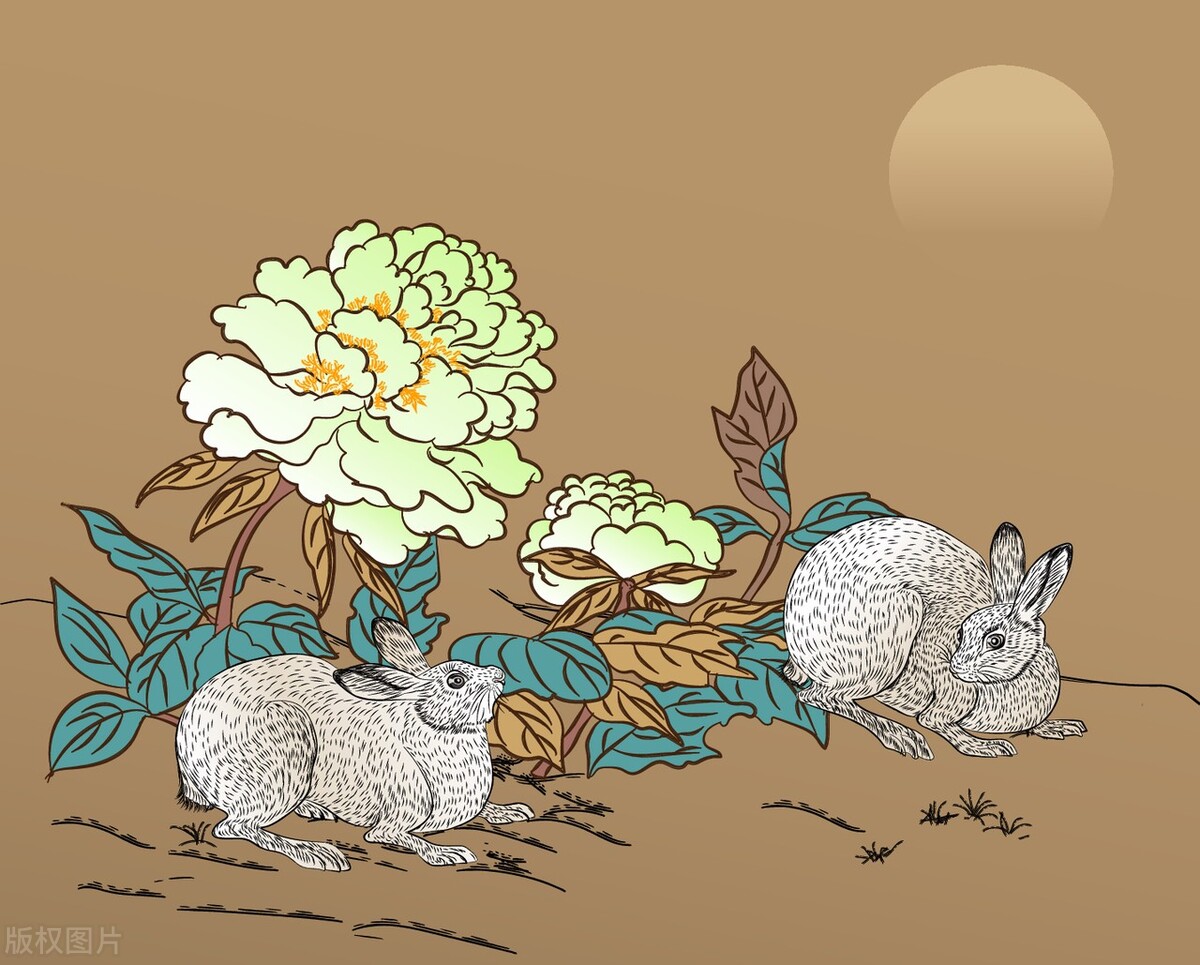 2023年9月1日十二生肖运势解析,2023年1月9日十二生肖运势解析