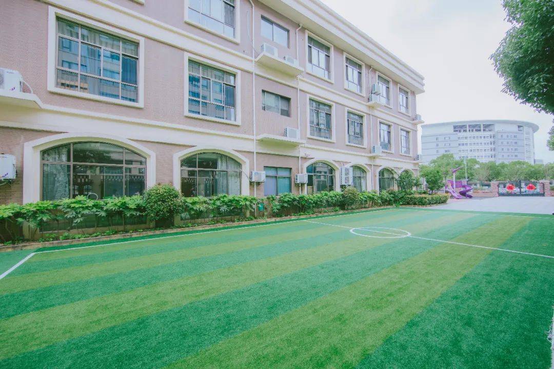 浙江省幼儿园足球比赛,嘉兴市宏大幼儿足球比赛