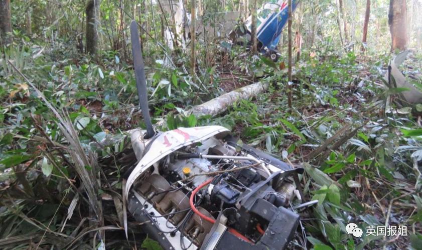 13岁奇迹女孩坠机后带弟妹丛林求生40天，竟是因被继父长期性侵，躲避所有救援