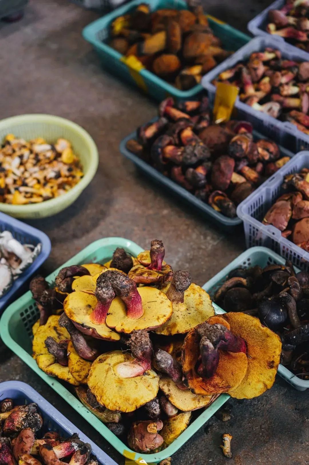 云南小曲清香型,云南小曲