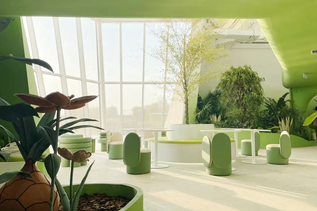 衡水园博园改造,衡水湖改造工程