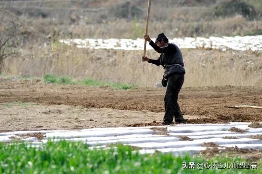 一旦发生战争需要购买什么物资,一旦战争打起来什么东西最不值钱