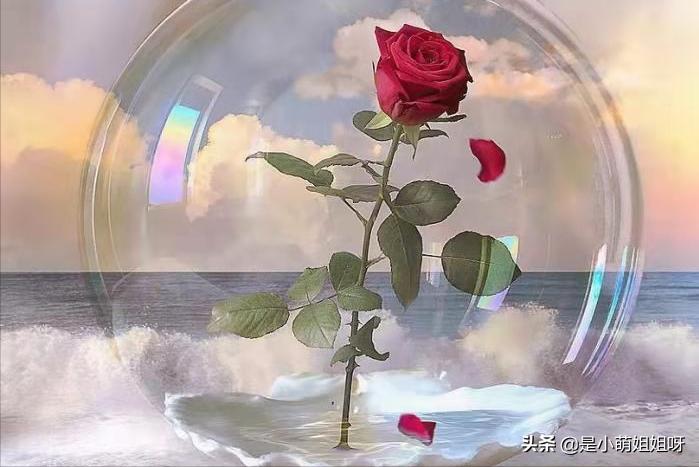 怎样才可以一夜涨粉到6000,怎样一个月涨粉500万