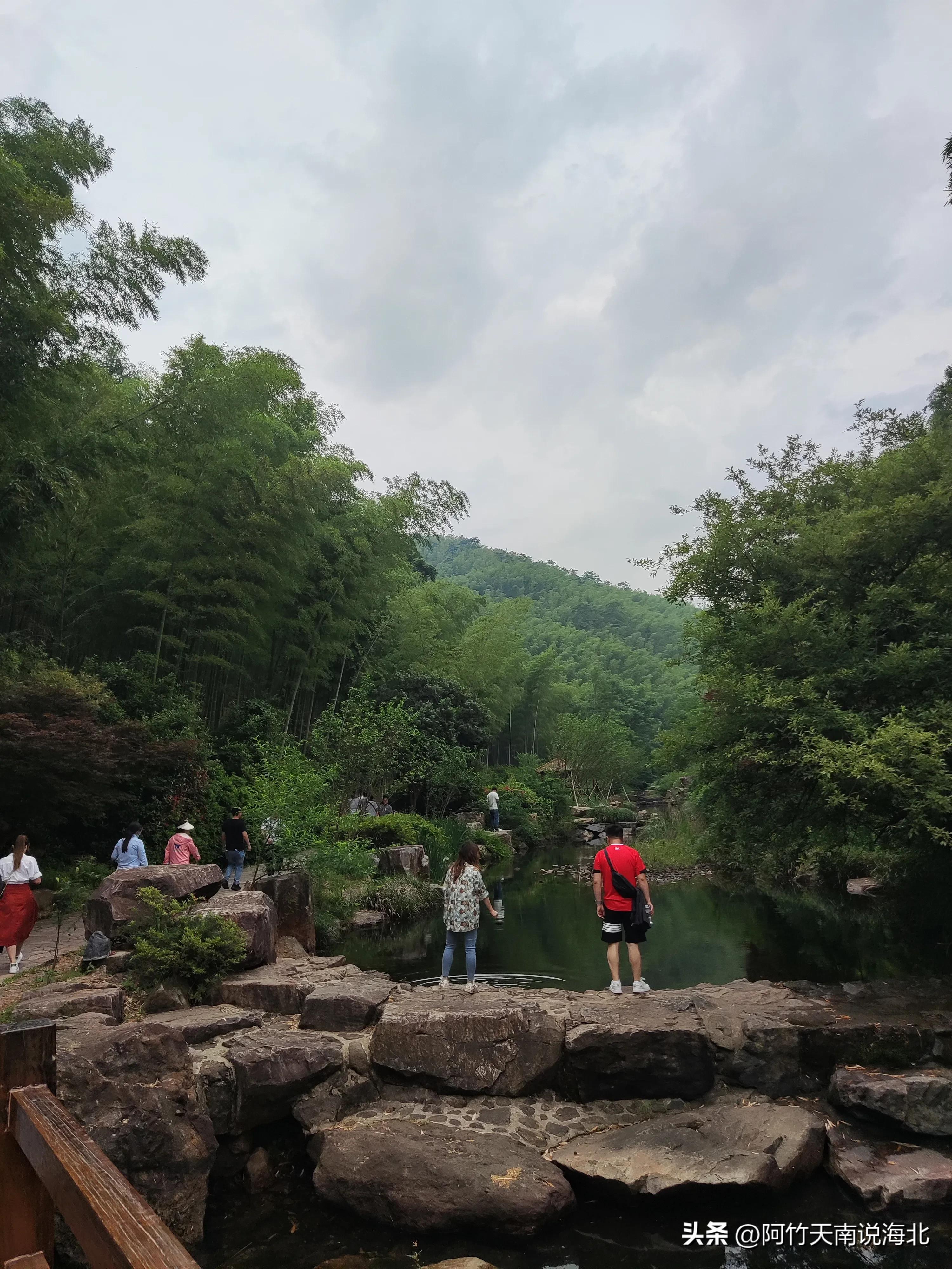 森林氧吧宜兴竹海,宜兴竹海森林氧吧