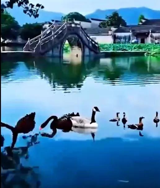 怎样擅于识人,如何通过察言观色来识人