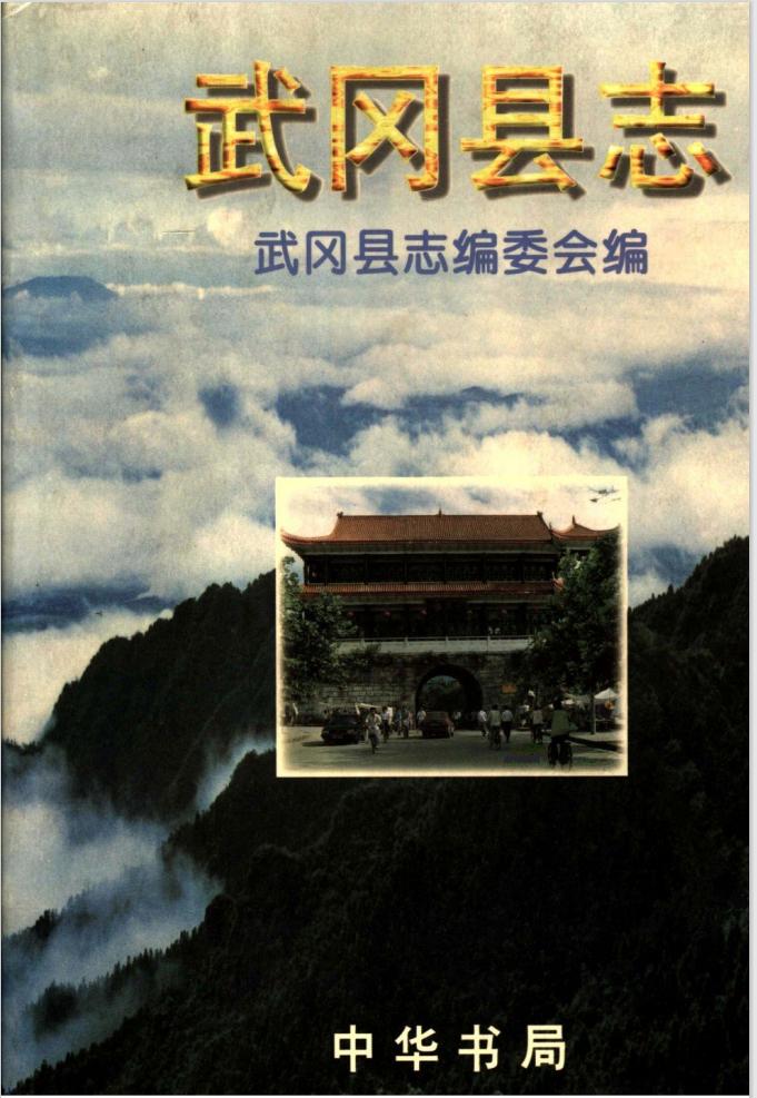 武冈市姓氏排名,湖南武冈大部分姓什么