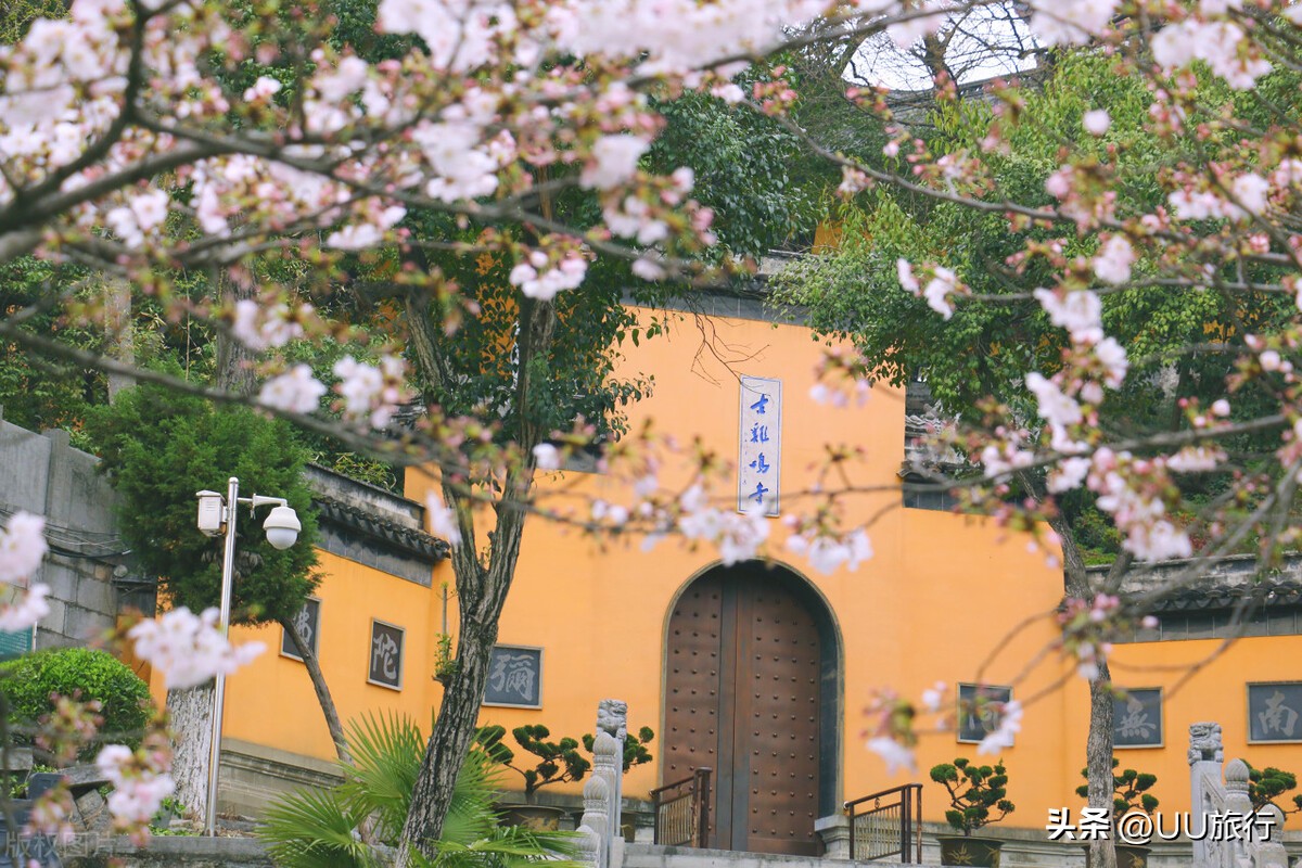 南京最值得去的几个地方推荐,2022春节南京最值得玩的地方