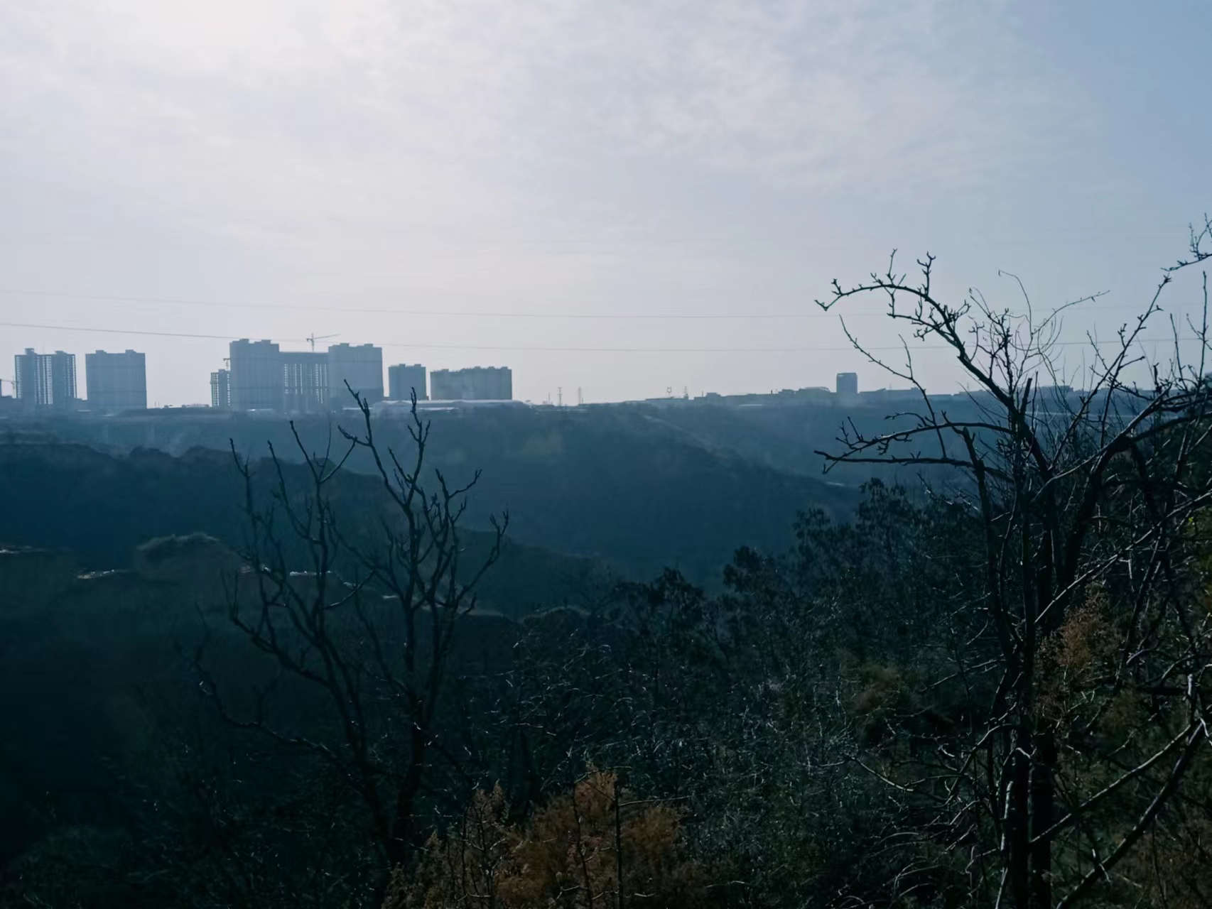 古树、土塔、苍柏、沟壑……