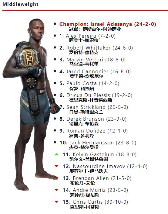 ufc各量级最新排名完整版,ufc各量级排行榜2024