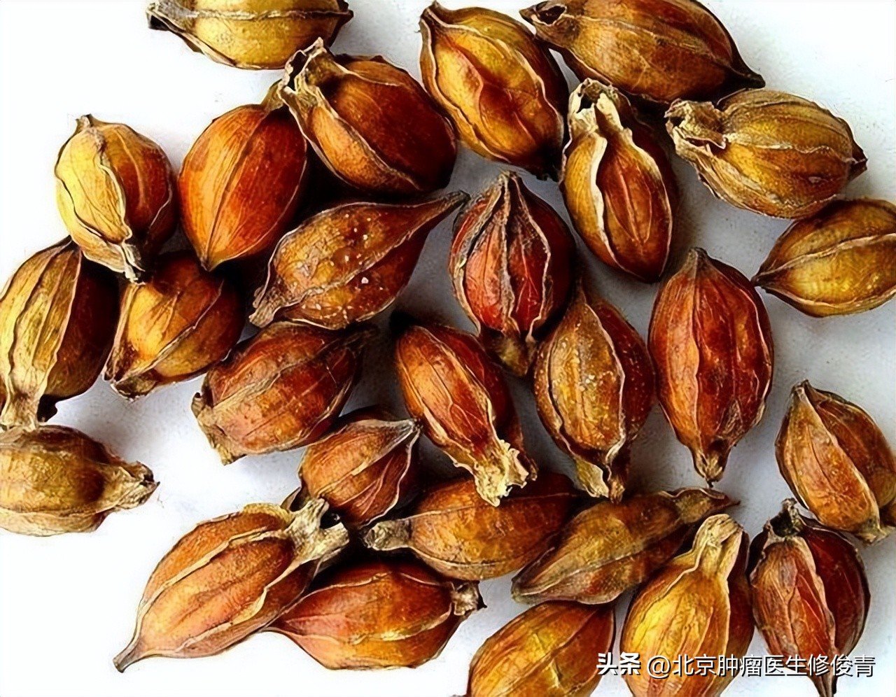 中医治疗肺经热鼻出血,治疗气血亏虚型鼻衄