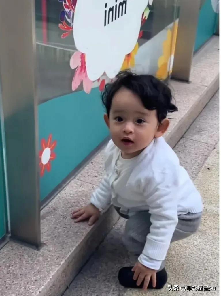 霸道女总裁叶海洋的三胎男宝计划，网友说弟弟像二宝哈媞就太帅了