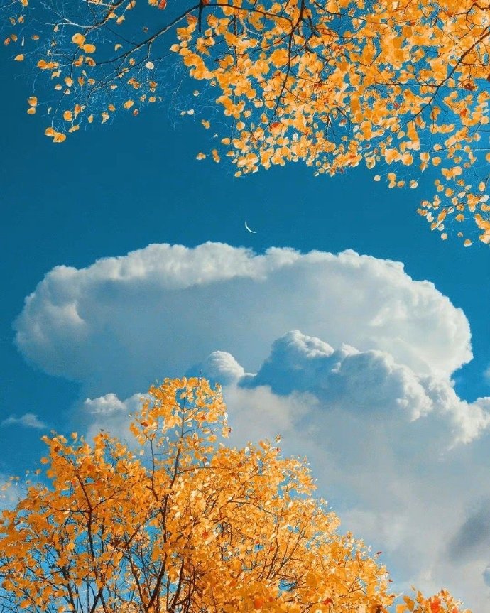 人在最落魄的时候只有朋友,人落魄的时候有几个朋友