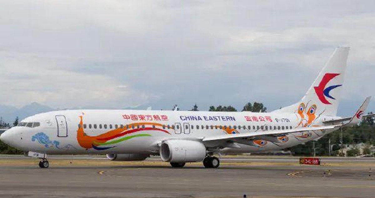 东航客机坠机事件的原因,132人飞机坠机原因