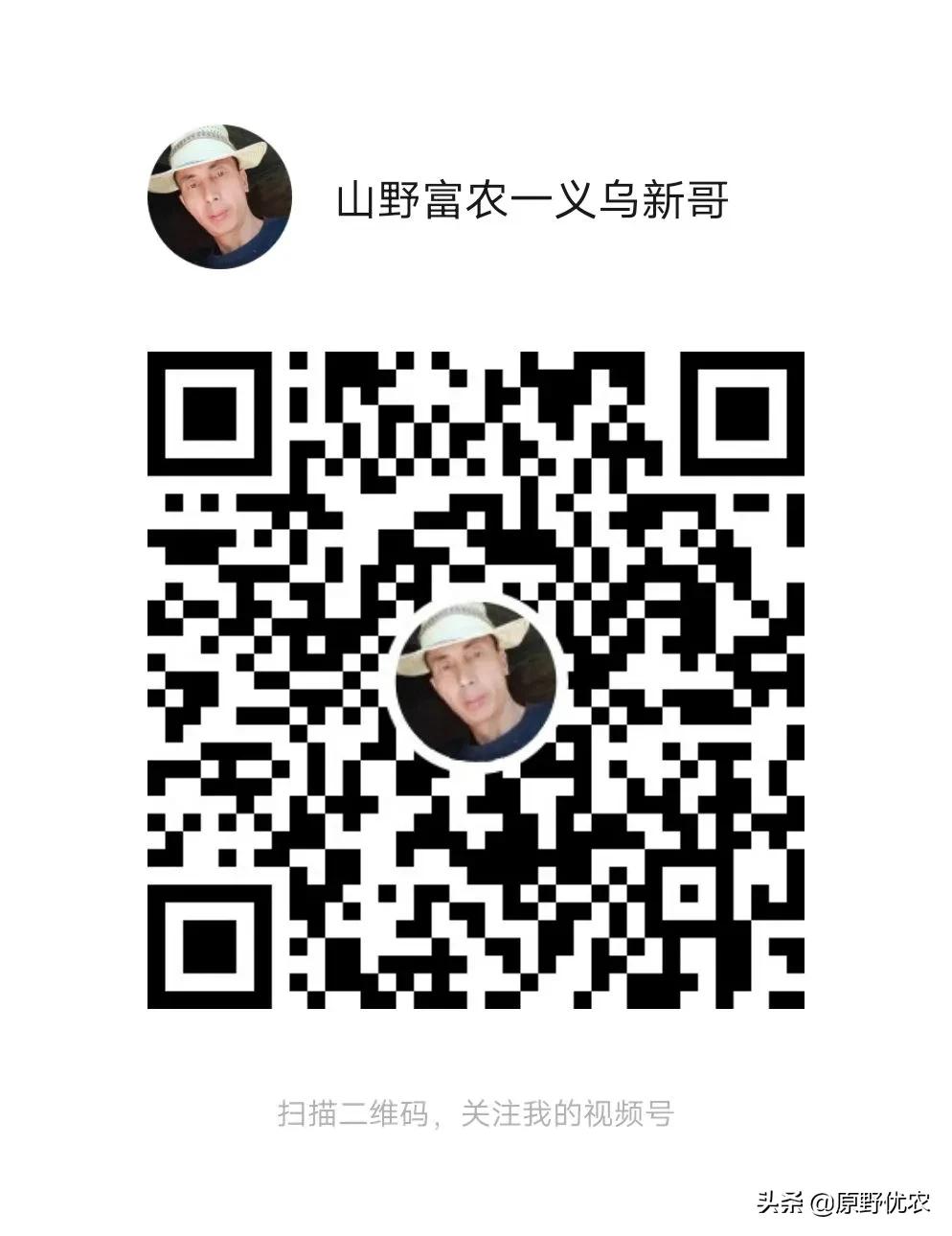 疫情过后什么项目创业最赚钱,疫情过后什么小本行业最赚钱