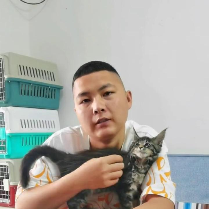 什么叫一手批发你们的猫买贵了吗？
