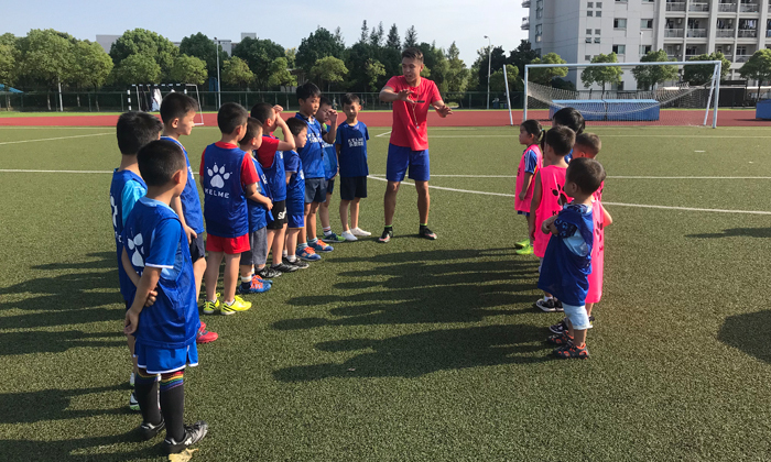 夏令营平台排行榜,夏令营机构专业排名