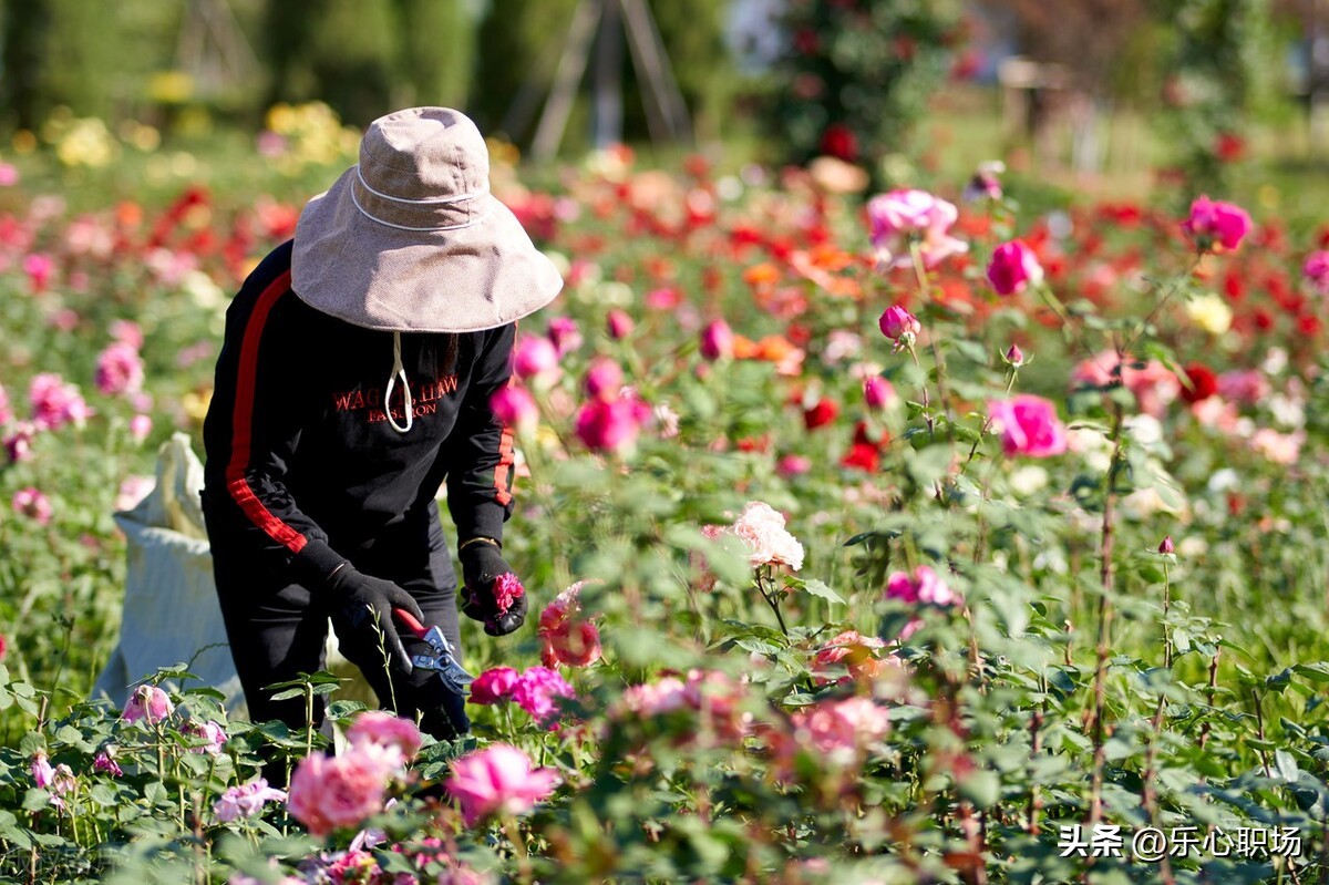人到中年没有专长如何找工作,36岁了没有技能可以干点什么工作