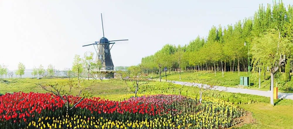 德州减河遛弯,减河遛弯