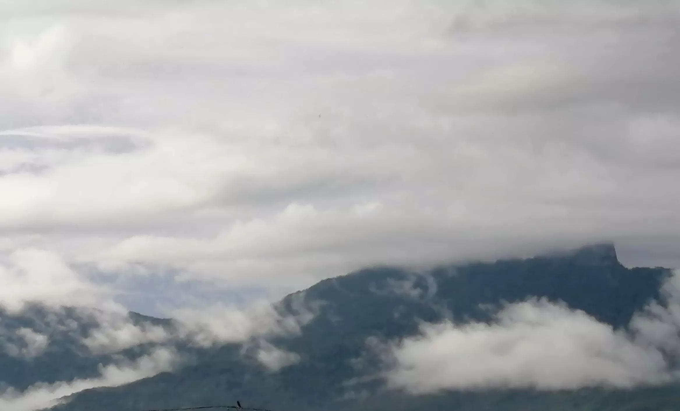 江城子古诗怎么背,初中必背61首古诗中的江城子