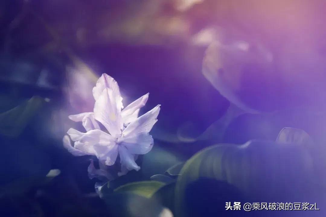 三国演义原文加注释,三国演义文言文带注音